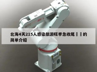 北海4天215人感染旅游旺季急收尾㊙️的简单介绍