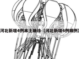 河北新增4例本土确诊（河北新增4例病例）