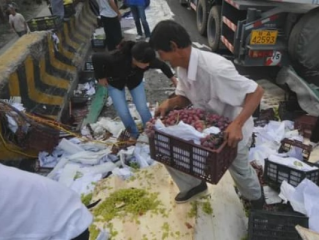 狗咬猪肉事件，超市惊现的食品安全之忧与搬运工失职的反思