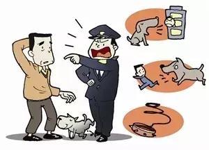 城管拖行犬只致死事件，社会反思与城市管理之困