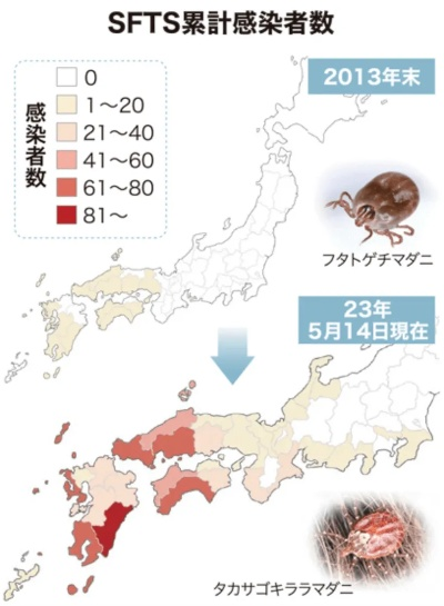 警惕！日本今年已报告72例蜱虫病病例，防控与公众健康意识亟需加强